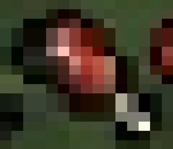 File:Half drumstick.jpg