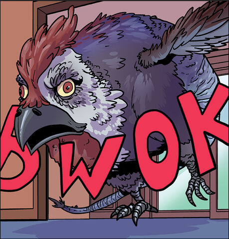 File:BWOK.jpg