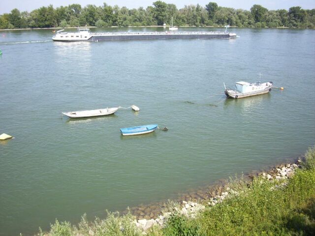 Datei:Rhein-02.jpg