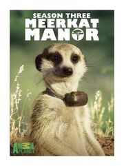 MeerkatManor3