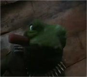 Jim