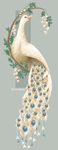 File:Albino Peacook.gif