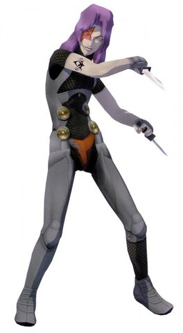 File:Bat DDS Model.jpg