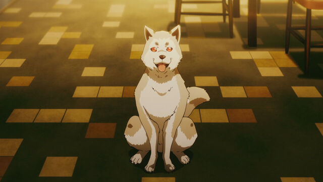 File:P3M - Koromaru waiting.jpg