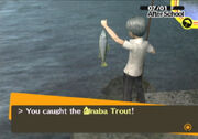 InabaFishing