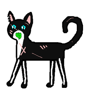 Fetzohr
