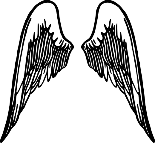 File:1195425090647322028PeterM Angel wings 5.svg.hi.png