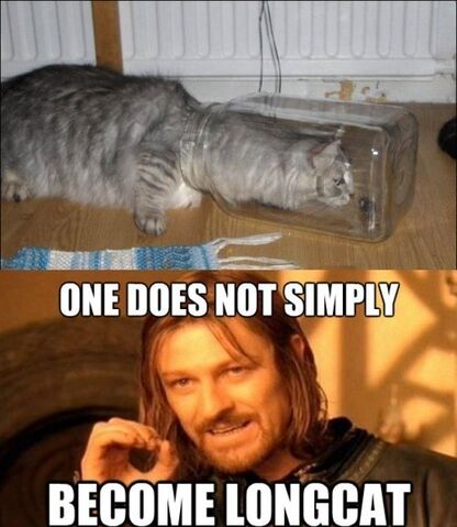 File:Funny-pictures-one-does-not-simply-become-longcat.jpg