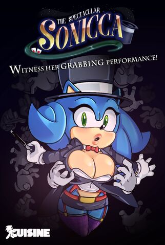 File:Sonicca 1 by cuisin-dajs177.png.jpg