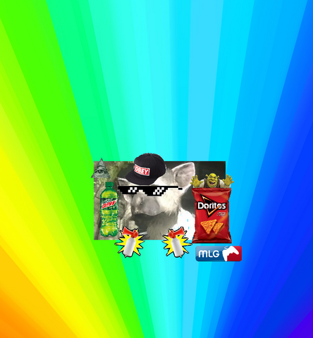 File:MLG BIRDDOG.png