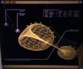 Miniatura della versione delle 13:59, feb 21, 2016