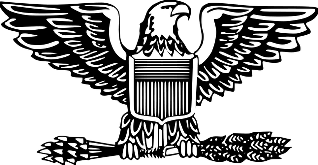 File:650px-US-O6 insignia svg.png