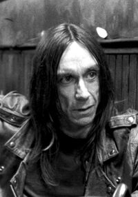 Iggypop.jpg