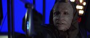 Ru'afo defends the collector