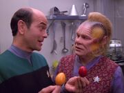 Der Doktor spricht über Entscheidungskriterien mit Neelix.jpg