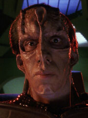 Dolak 2368.jpg