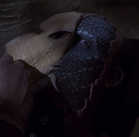 File:Malurian.jpg
