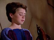 Harry und sein Delphin.jpg