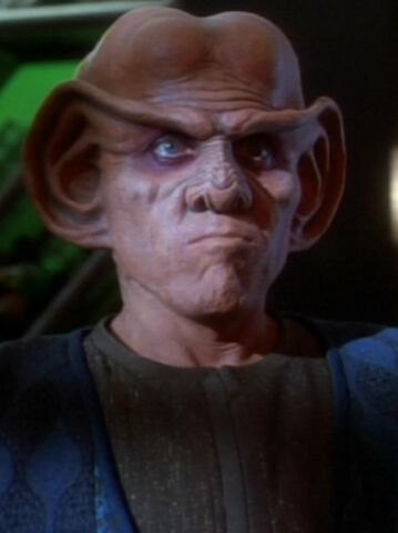 File:Quark (mirror).jpg