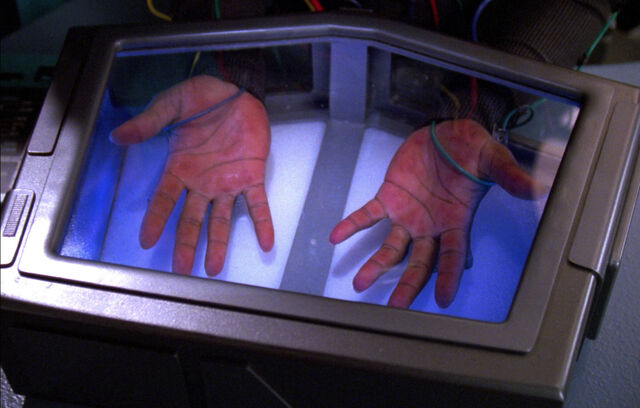 File:Burn chamber.jpg
