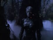 Seven of Nine auf der Planetenoberfläche.jpg