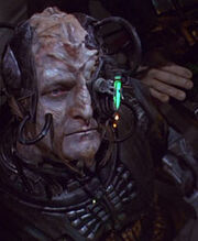 Borg klingon.jpg