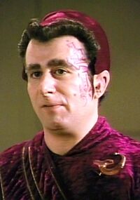 Saulrubinek.jpg