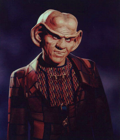 Plik:Quark.jpg