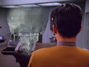Harry Kim neben der Nachbildung seines Schädels.jpg
