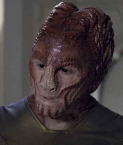 File:Hirogen fighter.jpg