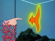 Halo-Fisch.jpg