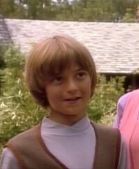 Davidbirkin.jpg