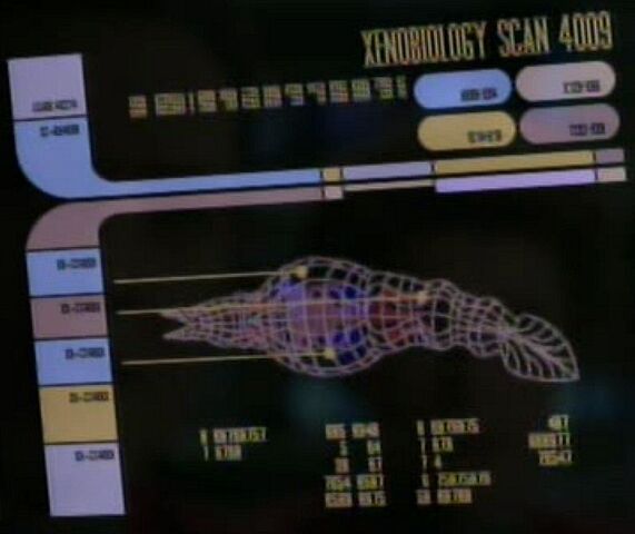 File:Space-dwelling lifeform scan.jpg