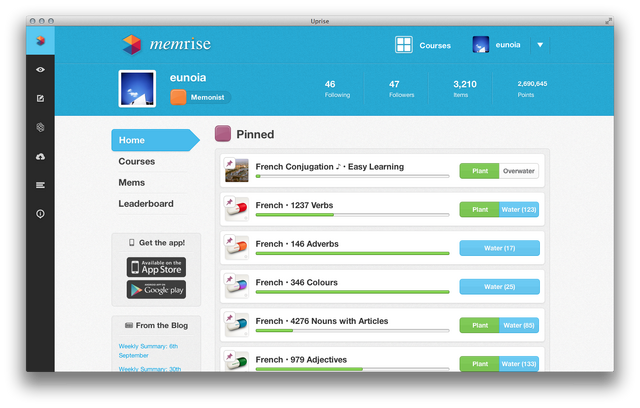 File:New Course & Databse View.png