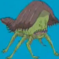 Barooga