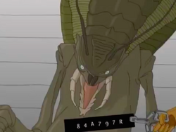 Bug(?)'s mugshot