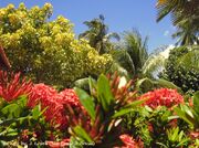 Natureza