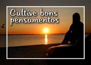 Cultive-bons-pensamentos-1-.jpg