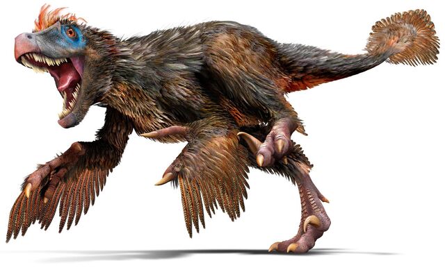 File:Velociraptor u4hjbq.jpg