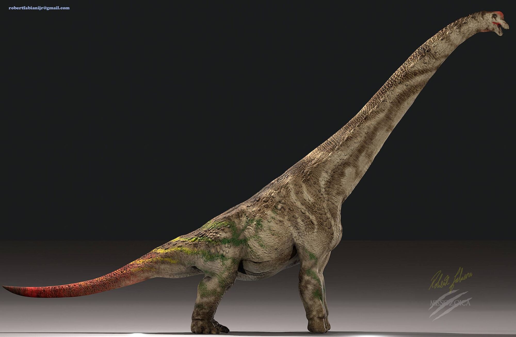 brachiosaurus giraffatitan
