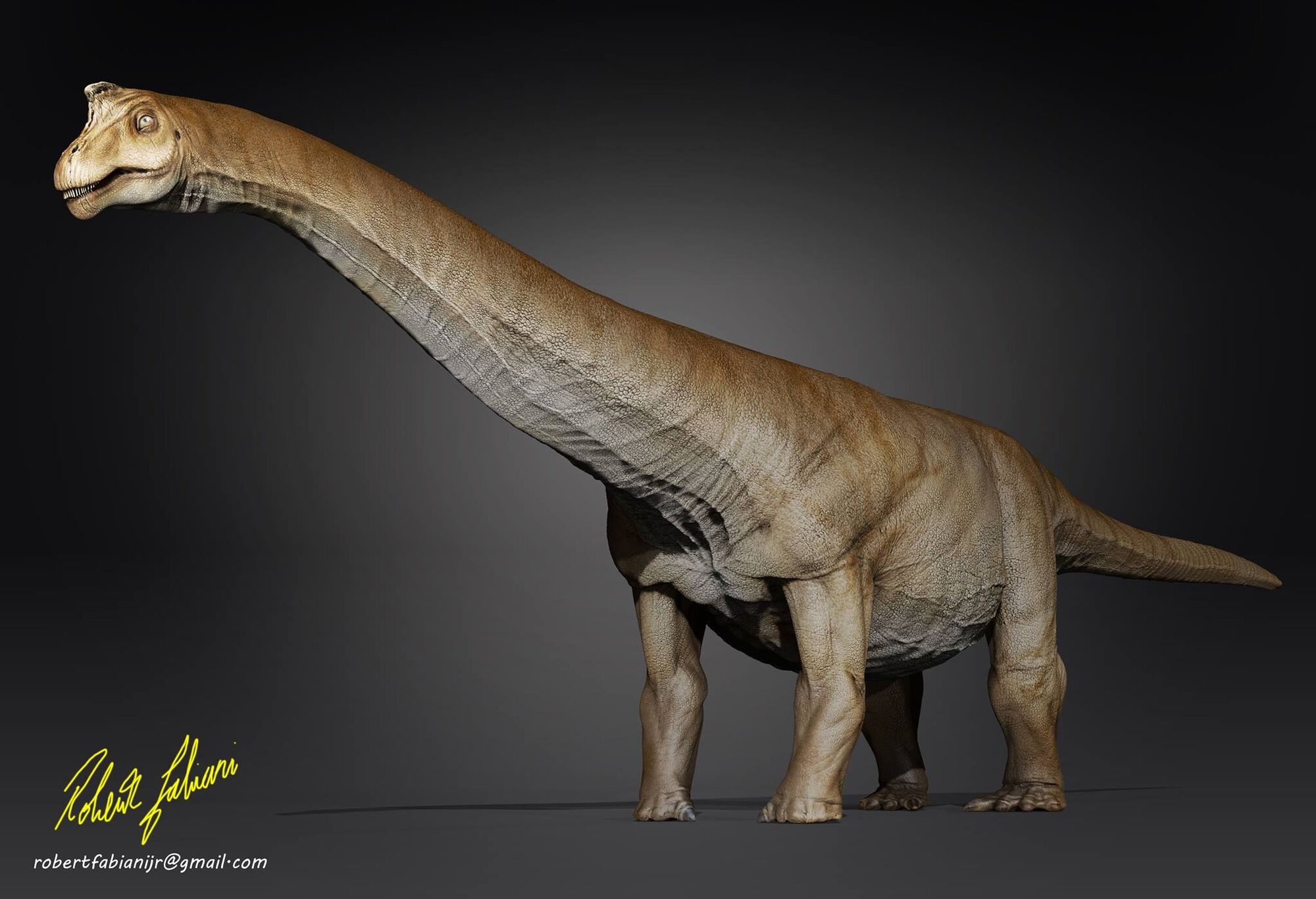 argentinosaurus bones