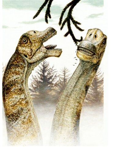 File:Abydofight!.jpg