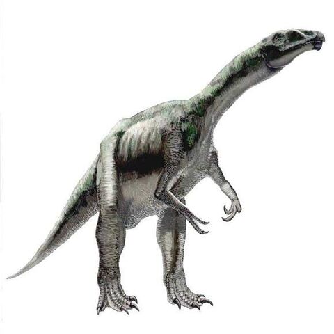 File:Erlicosaurus-Andrey-Atuchin.jpg