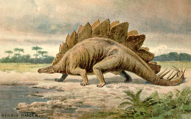 File:Stegosaurus-copyrightexpired-2.jpg