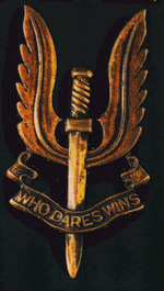 Sas-logo.png