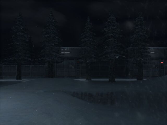 File:Snowfield Pic 1 (Metal Gear Solid The Twin Snakes).jpg