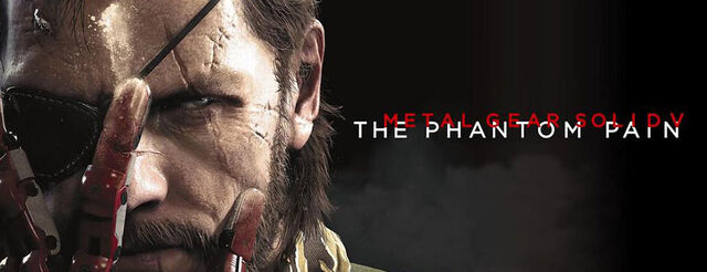 File:PhantomPainBlogHeader.jpg