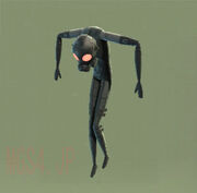 Mantis