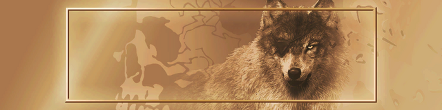 File:A5tDSG6.png