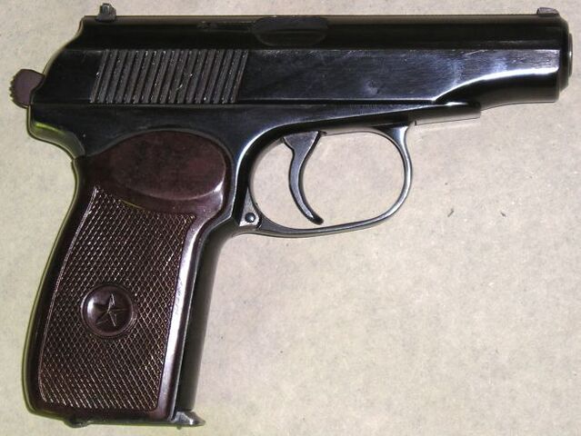 File:Pm-2.jpg